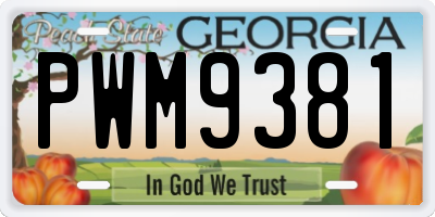 GA license plate PWM9381