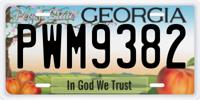 GA license plate PWM9382