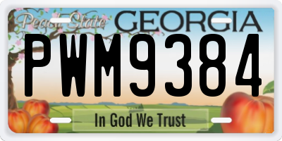 GA license plate PWM9384