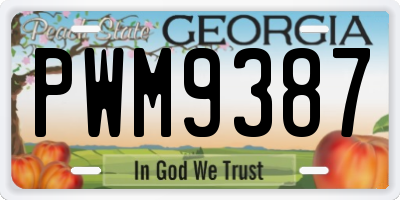 GA license plate PWM9387