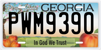 GA license plate PWM9390