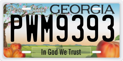 GA license plate PWM9393