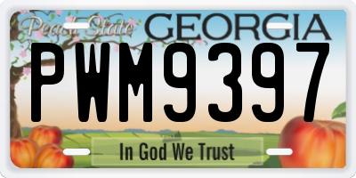 GA license plate PWM9397