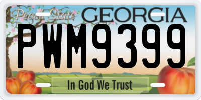 GA license plate PWM9399
