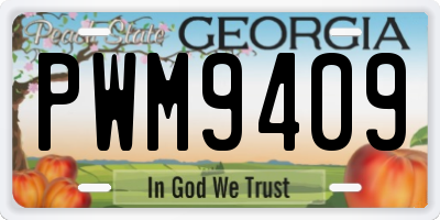 GA license plate PWM9409