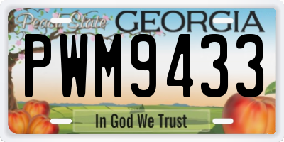 GA license plate PWM9433