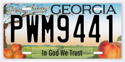 GA license plate PWM9441