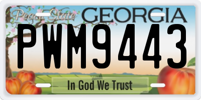 GA license plate PWM9443