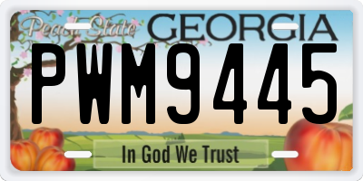 GA license plate PWM9445