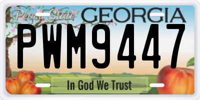 GA license plate PWM9447