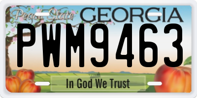 GA license plate PWM9463