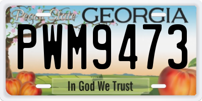 GA license plate PWM9473