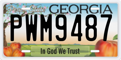 GA license plate PWM9487