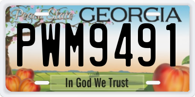 GA license plate PWM9491