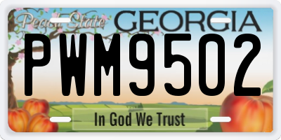 GA license plate PWM9502