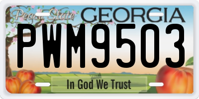 GA license plate PWM9503