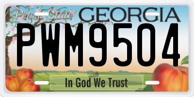 GA license plate PWM9504