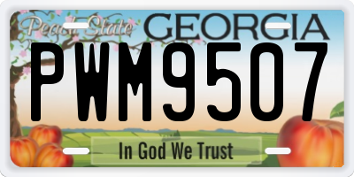 GA license plate PWM9507