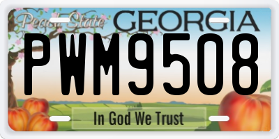 GA license plate PWM9508