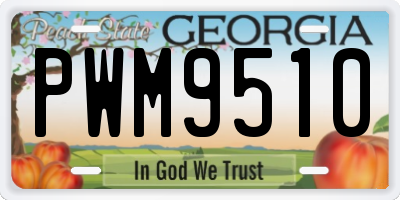 GA license plate PWM9510