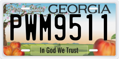 GA license plate PWM9511