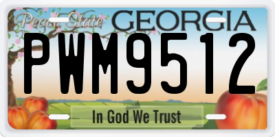 GA license plate PWM9512