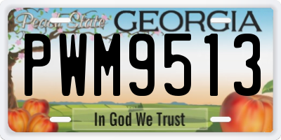 GA license plate PWM9513