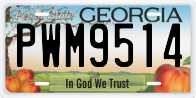 GA license plate PWM9514