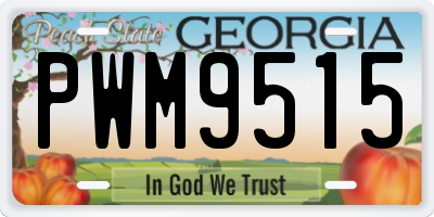 GA license plate PWM9515