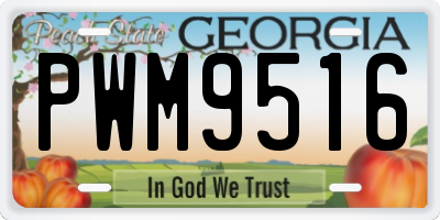 GA license plate PWM9516