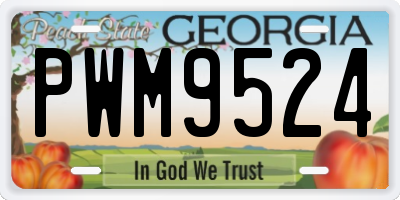 GA license plate PWM9524