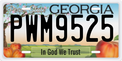 GA license plate PWM9525