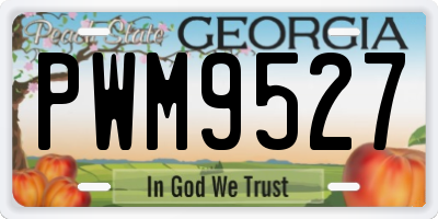 GA license plate PWM9527