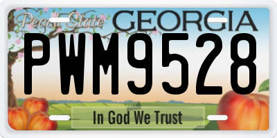 GA license plate PWM9528