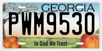 GA license plate PWM9530