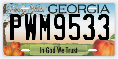 GA license plate PWM9533