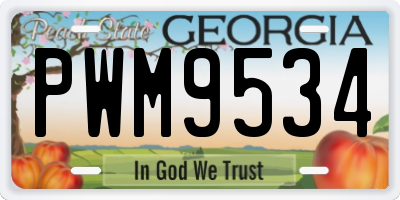 GA license plate PWM9534