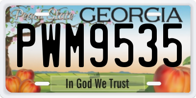 GA license plate PWM9535