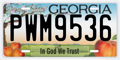 GA license plate PWM9536