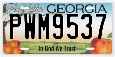 GA license plate PWM9537