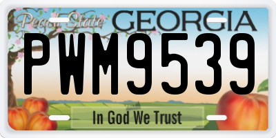 GA license plate PWM9539
