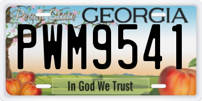 GA license plate PWM9541