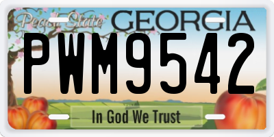GA license plate PWM9542