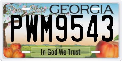 GA license plate PWM9543