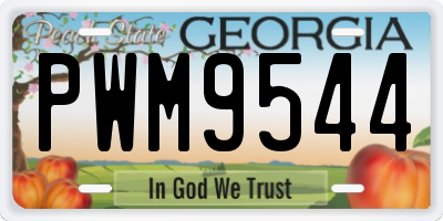 GA license plate PWM9544