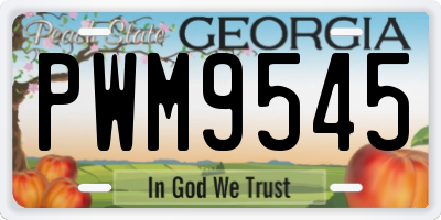 GA license plate PWM9545