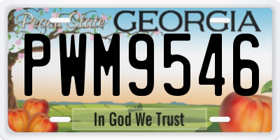 GA license plate PWM9546
