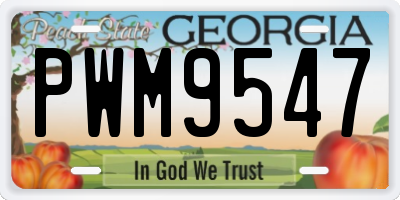 GA license plate PWM9547