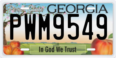 GA license plate PWM9549