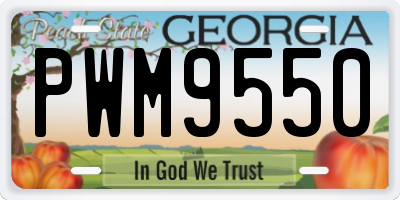GA license plate PWM9550